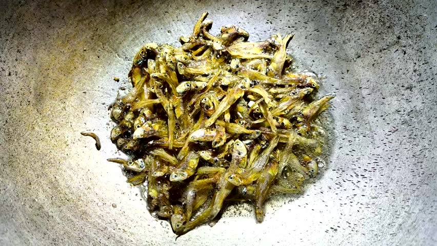 Frying dried anchovies in pan, indoor Chiangmai Thailand.