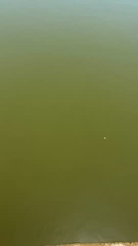 Amazing close-up view of fresh vibrant ambika river water flow, hill, trees, grass, sunlight and blurry greenery nature with blue cloudy sky environment in the outdoor indian village tourist place.