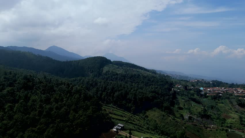 Aerial View of Rolling Hills and Lush Green Forest Landscape