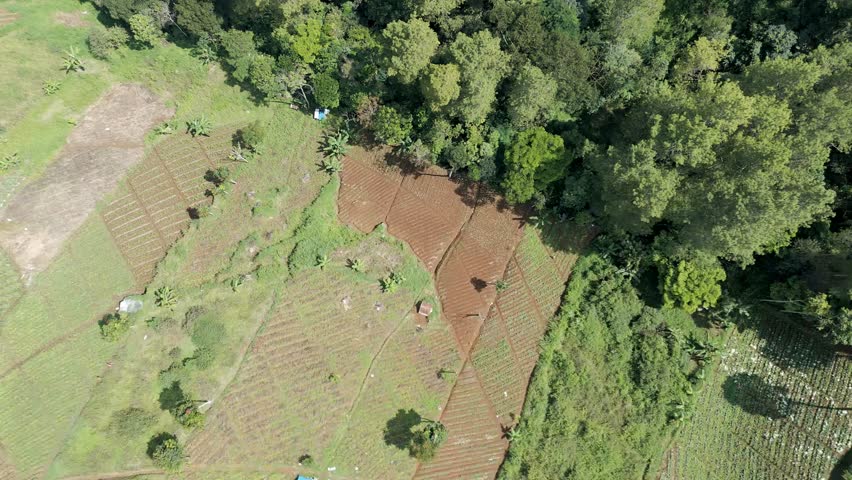 Aerial View of Rural Farmland and Forest Landscape