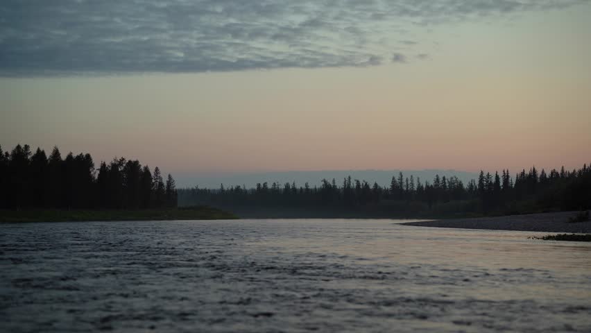 Forest river against the background of the night black forest and pink sky at sunset