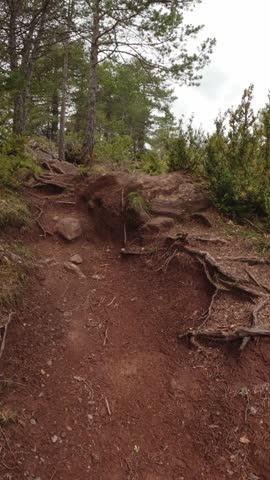 A first person point of view shot of a person hiking on a difficult trail with rocks and tree roots.