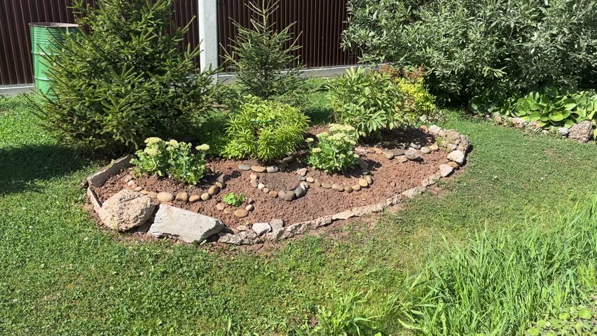 Flower bed or decorative arrangement of plants and stones. Rock garden