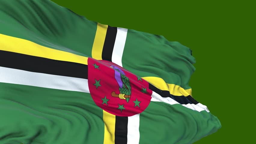 Flag of Dominica. Flag of Dominica close-up. Flag of Dominica endless loop. Green screen.