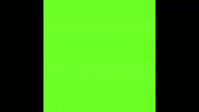 Animated baseball equipment set including bat, glove, ball, and helmet in smooth cartoon style. Perfect for sports intros, kids content, and game videos. Animation, green screen background. - Powered by Shutterstock - Get 15% off with code: PIKWIZARD15