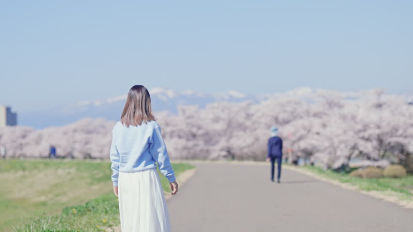 Woman tourist sightseeing Kitakami Tenshochi Park with Sakura Cherry Blossom in Spring, traveler travel in Kitakami festival, Iwate prefecture, Japan. Landmark for Travel and Vacation destination 