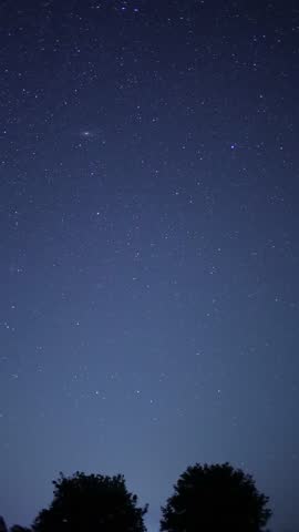 Moon illuminating night sky with trees silhouette