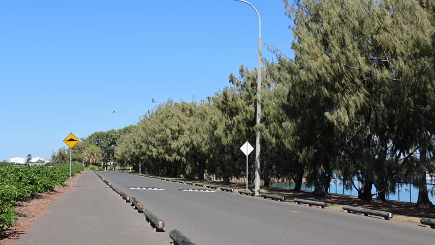Road lined with wooden logs and casuarina trees at Spinnaker Park in Gladstone, Queensland, Australia