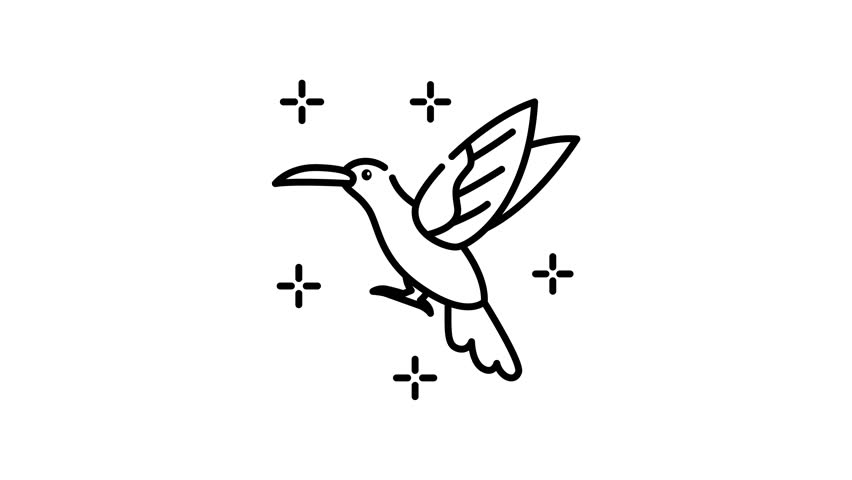 animation of Hummingbird fly beautifully as a blue hummingbird flies among shimmering star shapes.
