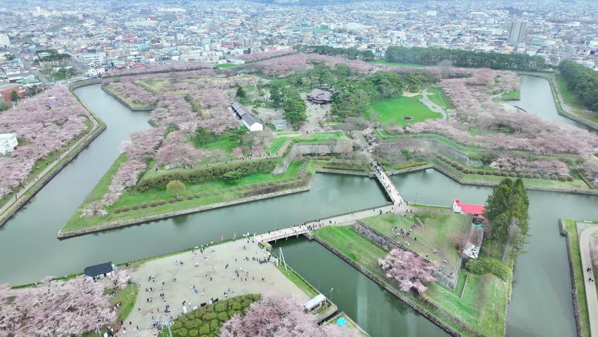 Beautiful Sakura Cherry Blossom in Spring season from Goryokaku Tower in Hakodate city, Hokkaido prefecture, Japan. landmark for tourists attractions in Hokkaido, Japan Travel and destination 