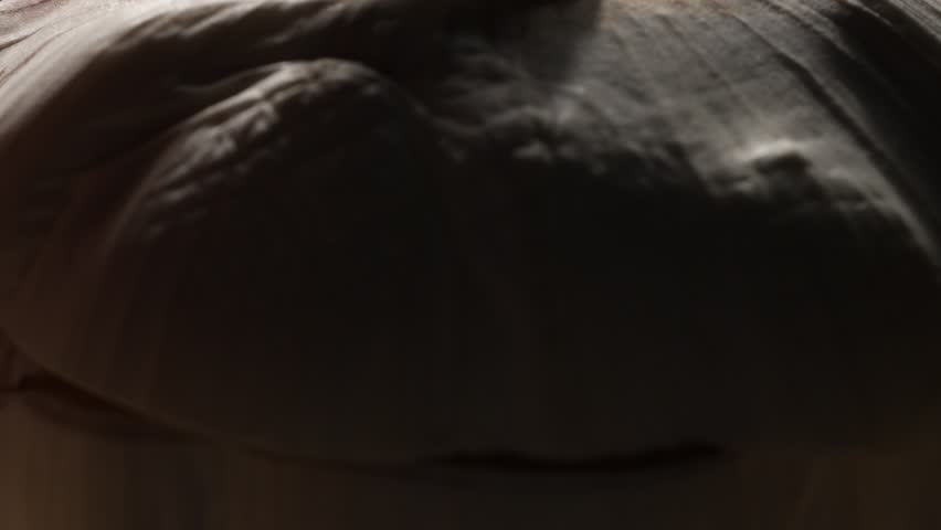 Bunch of garlic cloves cut in half. Macro close-up