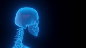 Video of a hologram scanner showing the bones of a human skull. - Powered by Shutterstock - Get 15% off with code: PIKWIZARD15