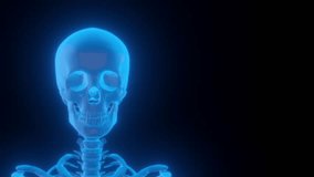 Video of a hologram scanner showing the bones of a human skull. - Powered by Shutterstock - Get 15% off with code: PIKWIZARD15