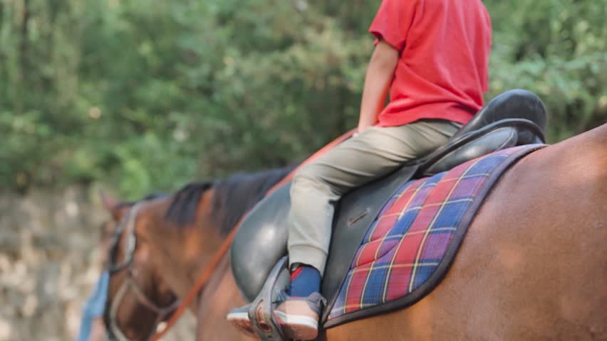 Boy riding horse in nature trail with plaid saddle pad