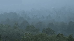Rain and mist over tree forest and mountain. - Powered by Shutterstock - Get 15% off with code: PIKWIZARD15