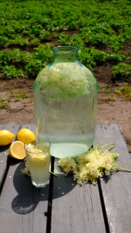 champagne from elder flowers. Selective focus.