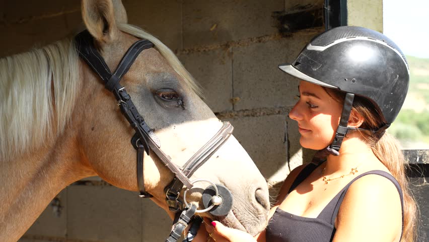 Close moment of mutual trust with a horse as the rider caresses the nose to build confidence and rapport