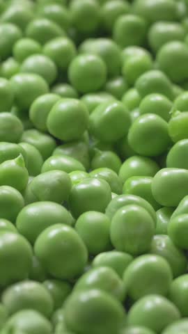 Green peas touched by fingers. Smooth and bright surface of peas. Peas provide a good source of vitamins and can be enjoyed in various dishes like soups, stews, or fresh salads