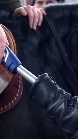 close-up, male rider, disabled person, without leg, help to put Prosthesis, artificial leg in stirrups. man learns to ride horse, hippotherapy. concept of rehabilitation of disabled with animals.