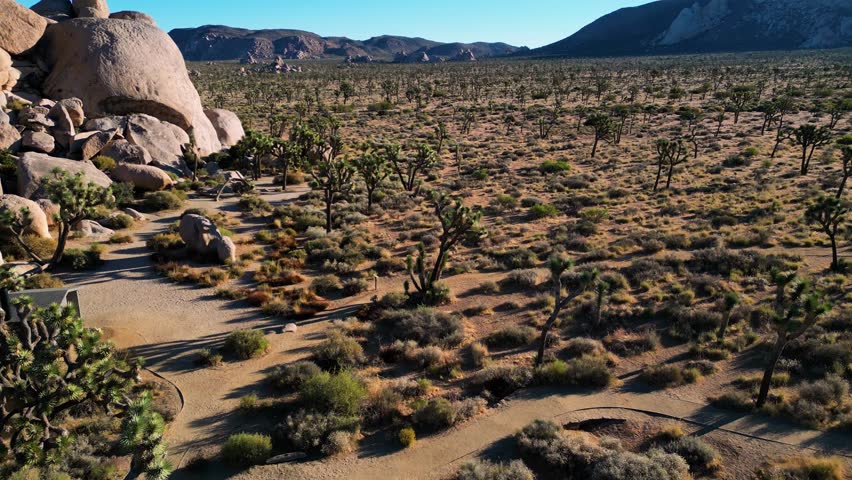 Aerial view of Joshua Tree National Park with sparse vegetation, rock formations, and mountains under a clear blue sky, California, United States.