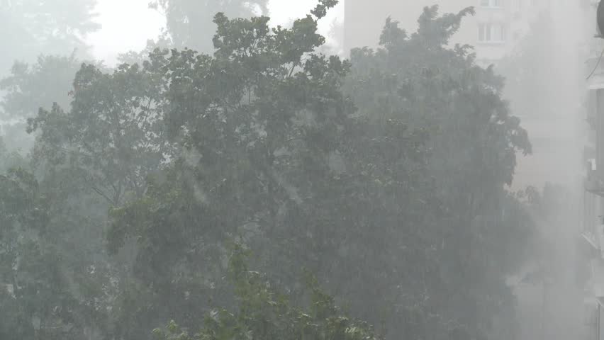 Bad weather, storm. Heavy rain and wind in city. Wind shakes trees