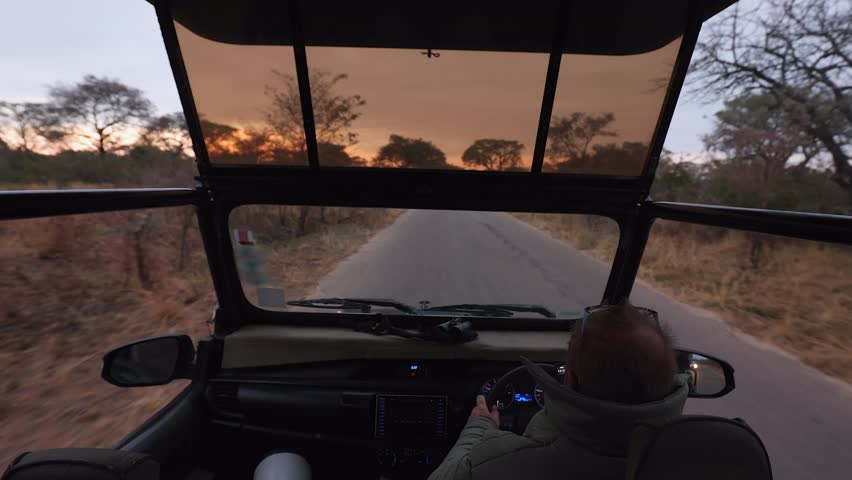 POV of safari guide driving safari vehicle on remote road at dawn