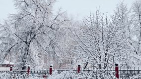 Winter Wonderland, Snow-Covered Trees, Frosty Morning, White Winter Landscape, Scenic Snow Scene, Icy Tree Branches, Tranquil Winter View, Nature in Winter, Snowy Park Aesthetic. - Powered by Shutterstock - Get 15% off with code: PIKWIZARD15