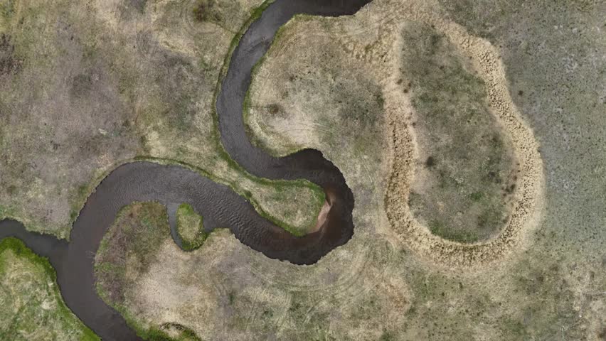 A 4K drone view directly above a winding creek cutting through dry grasslands and wetlands in South Park, Colorado