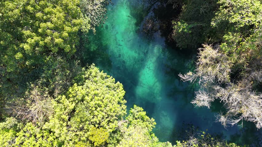 Aerial view of Formoso River - Bonito, Mato Grosso do Sul, Brazil