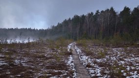 Drone moves forward over a snow covered forest with coniferous and birch trees, a narrow wooden boardwalk, and mist in the background. - Powered by Shutterstock - Get 15% off with code: PIKWIZARD15