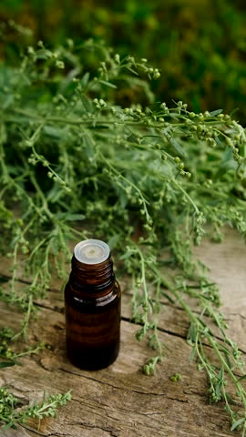 sagebrush tincture and supplements. Selective focus.