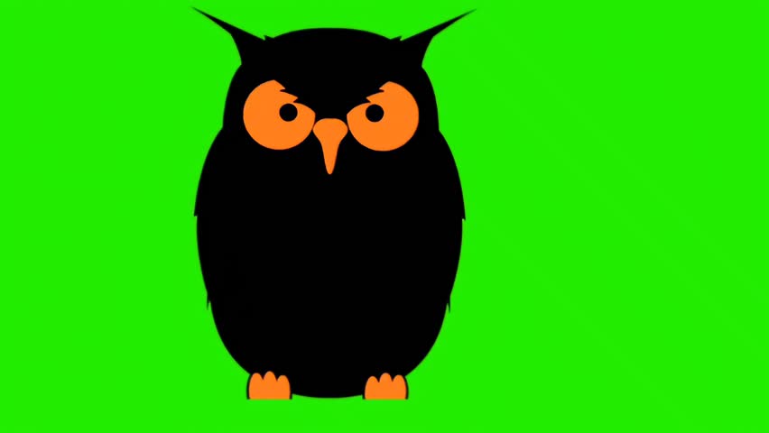 Stylized Owl  on Green Background