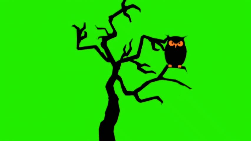 Owl Silhouette on Spooky Tree Against Green Screen