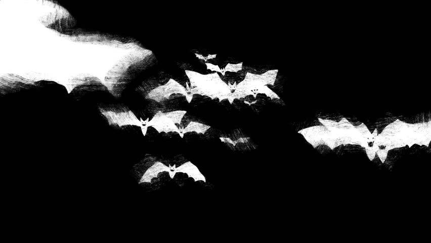 Cartoon doodle creepy Bats fly. Bats fly transition with hand drawn scrible scratches. Isolated Halloween elements. Happy halloween. Flock of flying bats. 2d animation. Scary 4k stock footage.