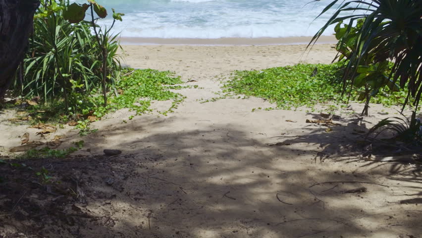 A dramatic view of powerful ocean waves crashing onto a sandy beach under a cloudy, stormy sky. The scene captures the raw energy of nature and the dynamic motion of the sea.