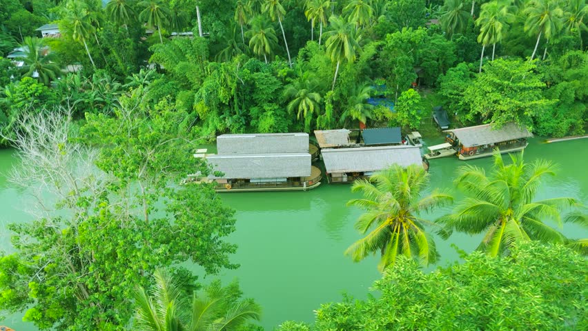 Aerial view of multiple houseboats docked along a green tropical river, surrounded by dense palm trees and jungle, Amazon River.