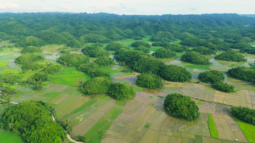 Aerial view of numerous green, dome-shaped hills, surrounded by agricultural fields, at Chocolate Hills, Bohol.