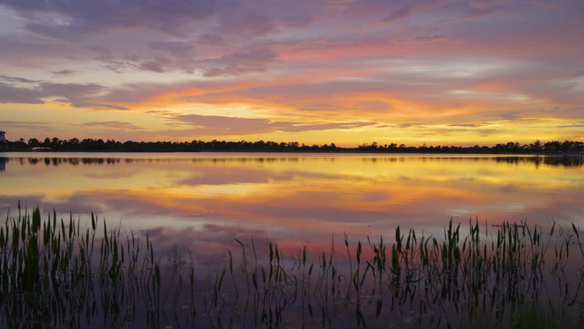 Amazing Florida nature. Sunset over lake water in southern tropical wetlands