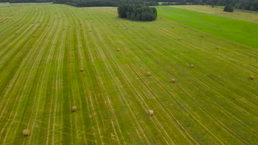 Aerial drone flying over freshly made silage hay bale rolls or wheat crop agricultural farm field that is grassy and green yellow colored during a sunny day at summer or autumn time.