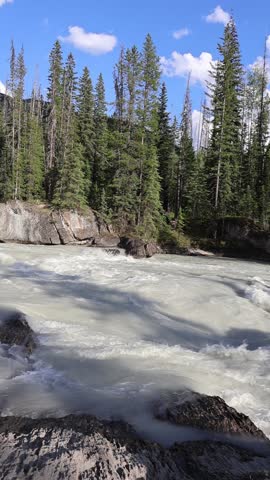 Powerful Sunwapta Falls in Jasper National Park, Alberta, cascading into a deep gorge surrounded by rugged cliffs and evergreen forest.