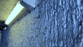 Creepy dark concrete wall illuminated by a lamp, with cobwebs and traces of dirt. - Powered by Shutterstock - Get 15% off with code: PIKWIZARD15