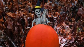 Halloween atmosphere.skeleton decoration with orange pumpkin in hydrangea bushes at dusk.Halloween Street Scary Holiday Decorations. 4k footage - Powered by Shutterstock - Get 15% off with code: PIKWIZARD15