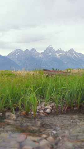Come and explore the aweinspiring and stunning landscapes that Grand Teton National Park has to offer, featuring beautiful rolling grasslands and the majestic mountains found in Wyoming