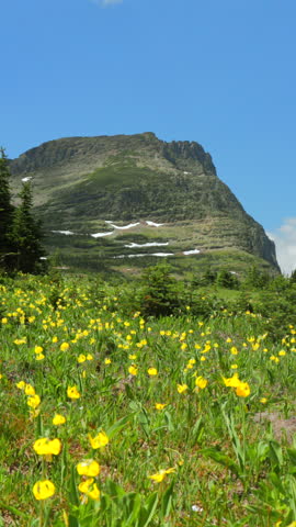 Explore the breathtaking landscapes of Glacier National Park in Montana, filled with colorful wildflowers and majestic mountains offering incredible views that inspire awe and wonder