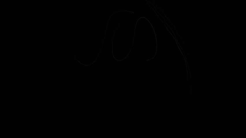 Black grunge spiral wipe transition for video effect