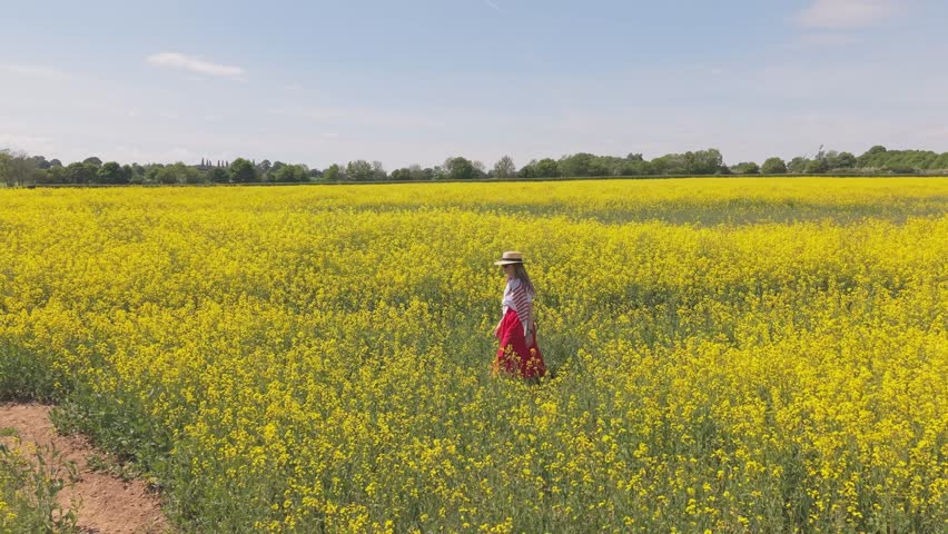 Vintage-style parallel footage following a woman walking gracefully through a blooming field, capturing the peaceful beauty and timeless charm of nature and countryside life.