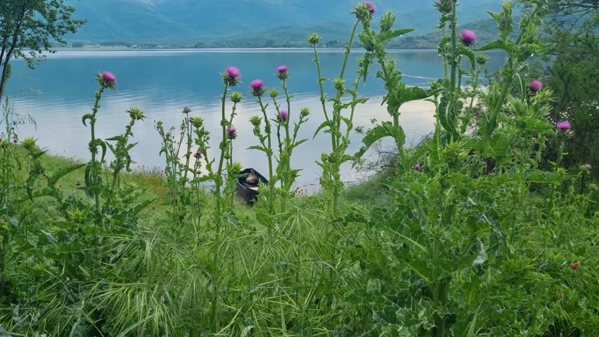 Picturesque view of the pristine Kerkini Lake landscape in northern Greece on a calm, cloudy spring day, highlighting wetlands, water, and surrounding nature
