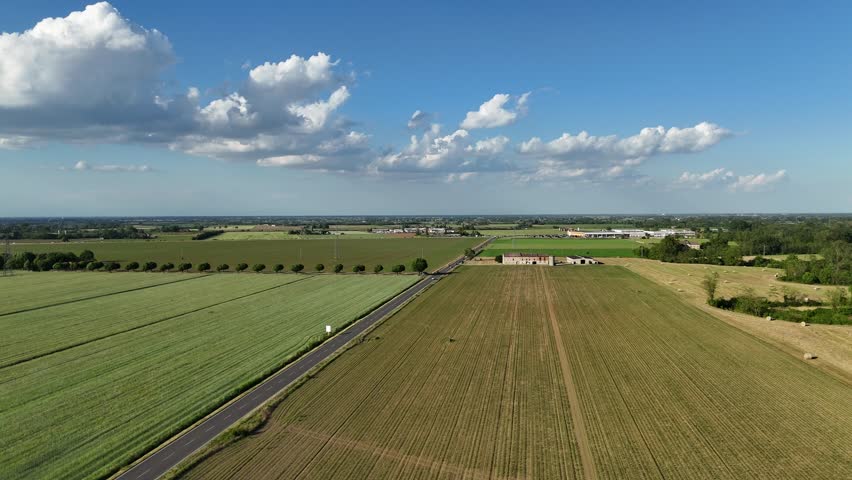 Drone travels over uniform rows of cereal crop fields—likely wheat or corn—and nearby vegetable plots ,sweet corn or processing tomatoes, in the rural landscape of Alseno, Piacenza, northern Italy,