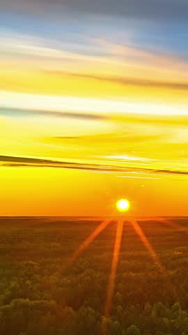 Beautiful orange sun setting below the horizon over a dense wild forest, casting golden light and rays across the evening sky - Vertical time lapse