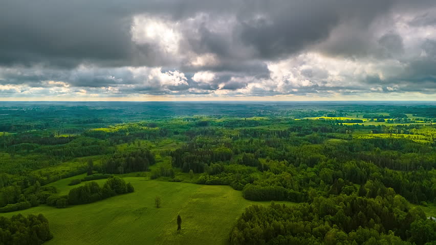 Dark Cloudy Sky Over Evergreen Reserve Nature At Sunset. Timelapse